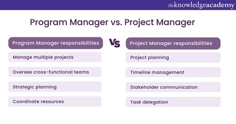 Project and Program Management Consultant .